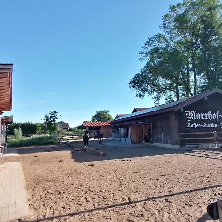 Tiny X Im Marxhof Seebruck Am Chiemsee Seeon Seebruck Bagian luar foto