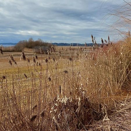 Tiny X Im Marxhof Seebruck Am Chiemsee Seeon Seebruck Bagian luar foto
